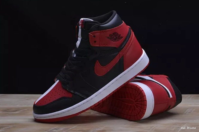 JORDAN 1 RETRO Flexible AIR 285 1106